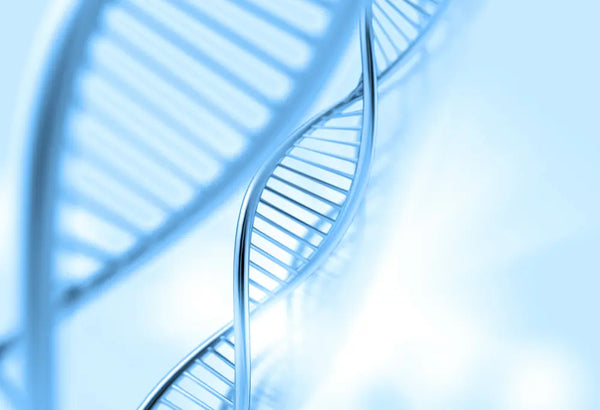 🧬 Let’s Talk About Exosomes — Exotran by Trandmi