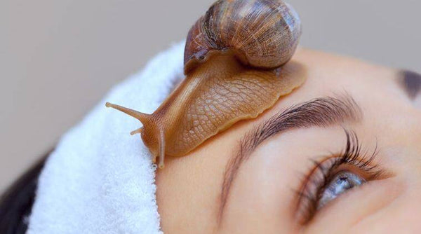 Snail Mucus Filtrate in Sculplla Cream? How is snail mucin collected?